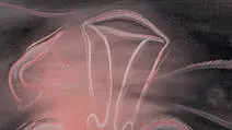 Gynecology-vishalsurgical.com